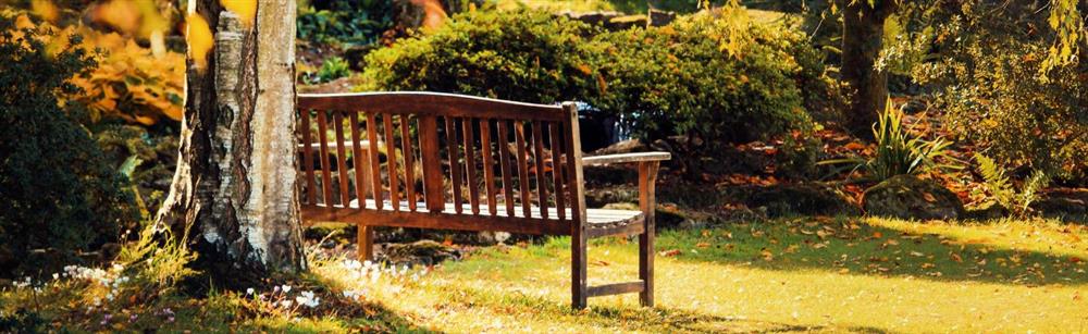 Memorial Bench